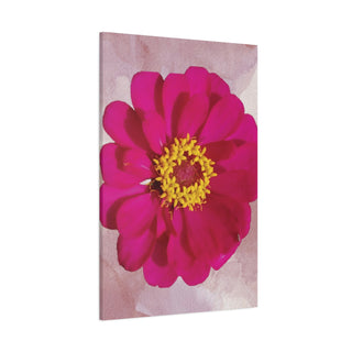 Pink Flower Wall Canvas