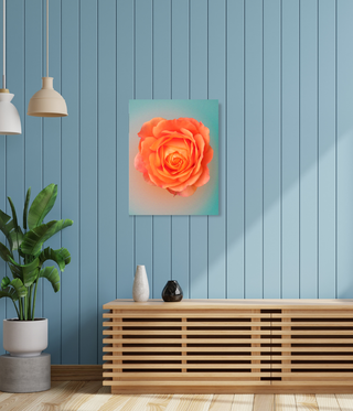 Beautiful Bright Orange Flower Wall Art