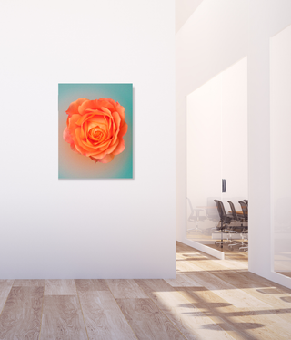 Beautiful Bright Orange Flower Wall Art