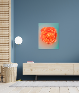 Beautiful Bright Orange Flower Wall Art