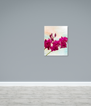 Bright Pink Tilt Flowers Wall Art