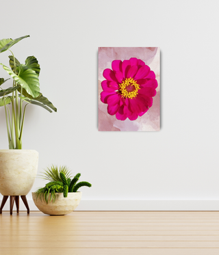 Pink Flower Wall Canvas