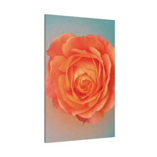 Beautiful Bright Orange Flower Wall Art