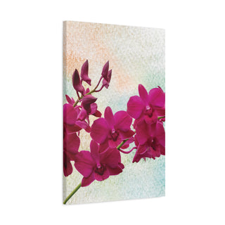 Bright Pink Tilt Flowers Wall Art