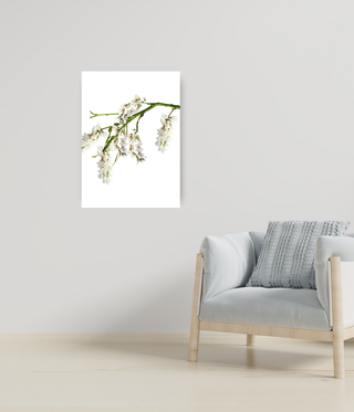 Beautiful Hanging White Flower Canvas