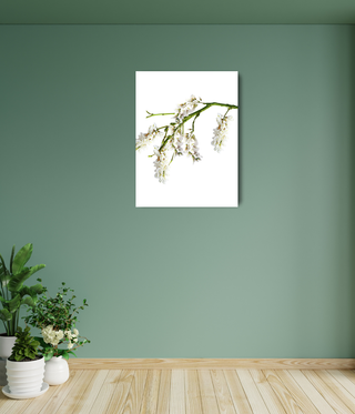 Beautiful Hanging White Flower Canvas