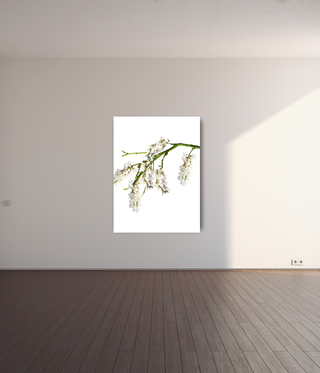 Beautiful Hanging White Flower Canvas