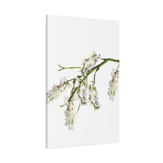 Beautiful Hanging White Flower Canvas