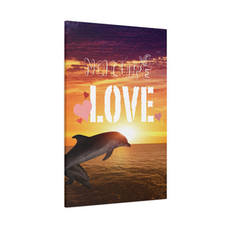 Sunset Leaping Dolphins Canvas